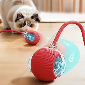 Automatic cat teasing ball main image